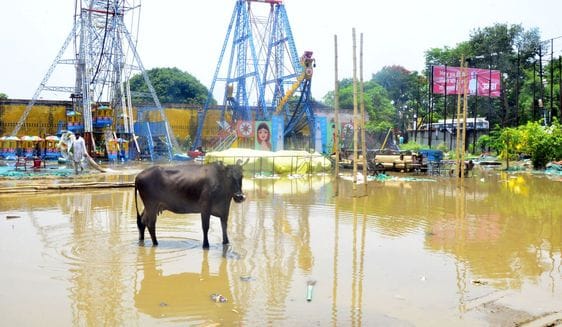 Pre-monsoon rain exposed the reality of drain cleaning, 30 thousand people affected