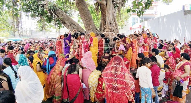 Married women worship Vat Savitri for unbroken good fortune
