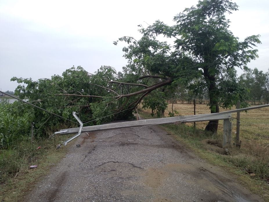 Due to the falling of a tree in the storm, the power line was broken and there was no electricity