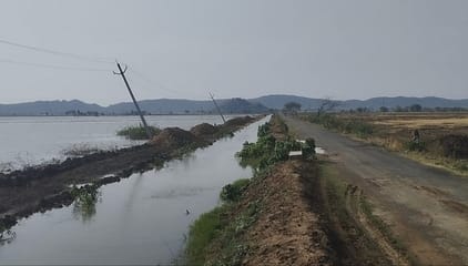 Water filled in fields due to damage of minor