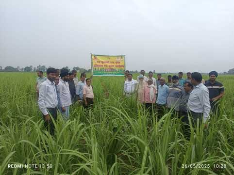 Sugar mill officials visited sugarcane fields