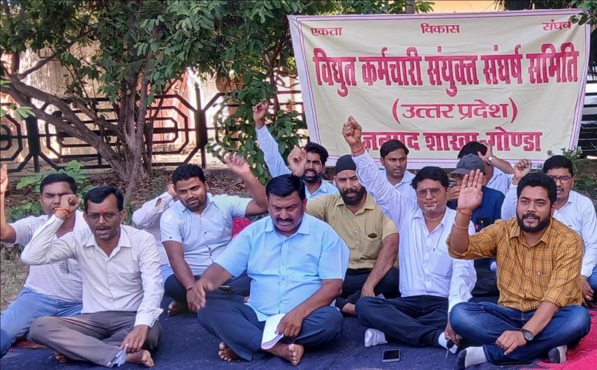 The decision to privatise electricity is not accepted