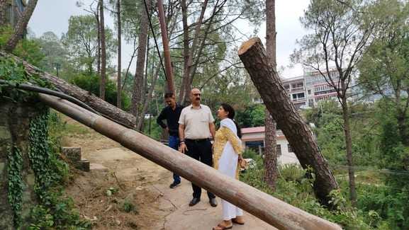 Uprooted trees and poles not removed increased people's problems