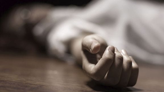 Two died of snakebite in Nainpur