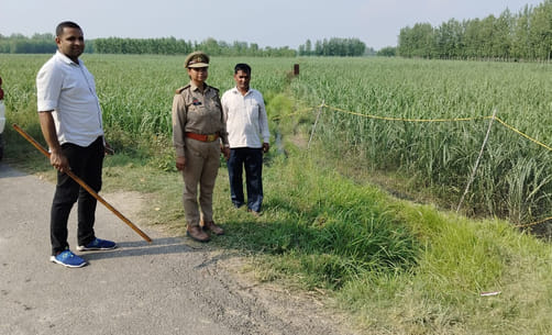 Search operation continues to catch the leopard