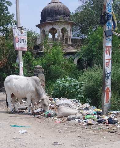 Now garbage will be collected without any interruption for 7 years