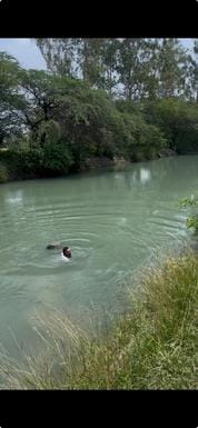 Four days later, Ankush's body was found in a canal near Gamdi, 20 km away