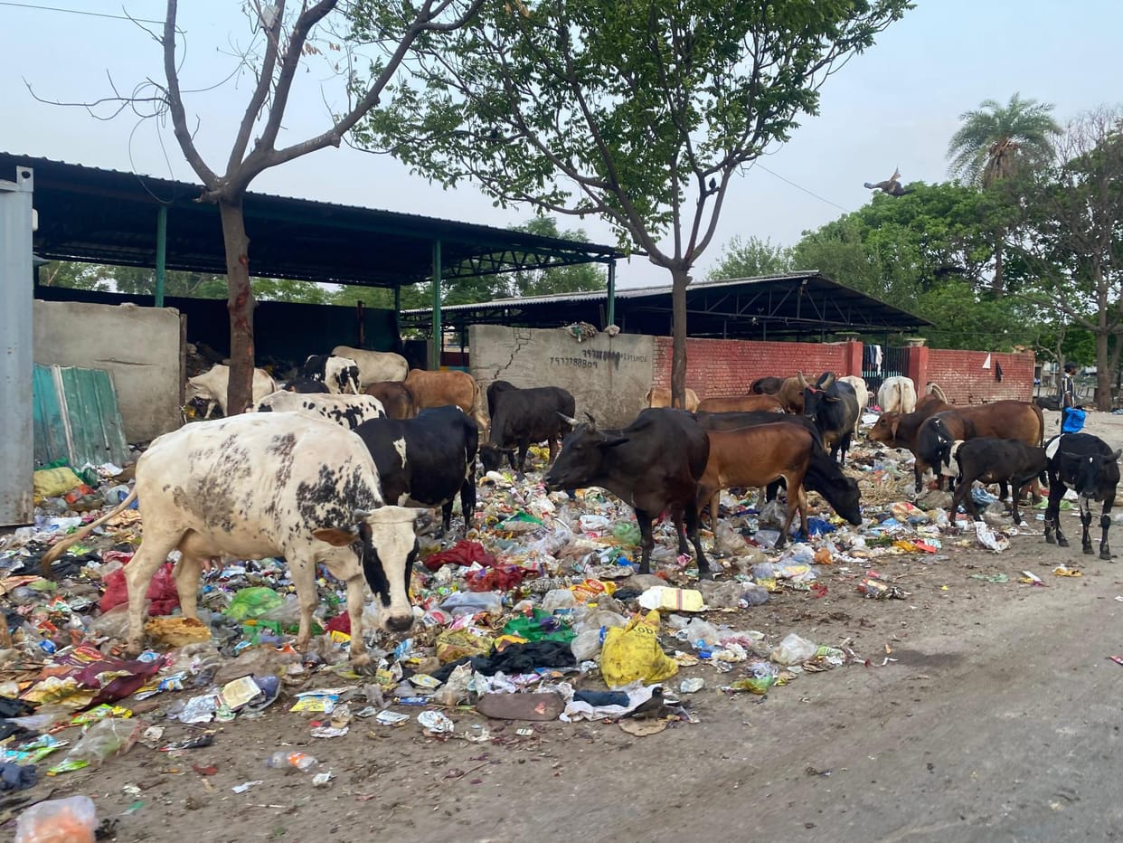 RMC point is filled with garbage, environment is getting polluted due to smoke and foul smell