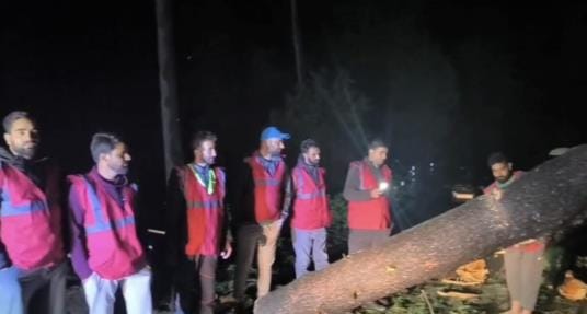 Many houses collapsed, trees fell, 10 vehicles were also damaged due to the storm