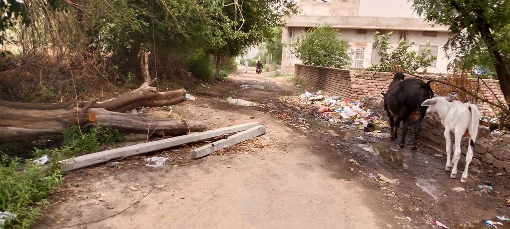 Even in 23 years, not even one kilometer of road could be built