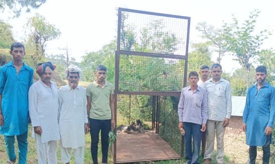Cage For Leopard in Ramkot