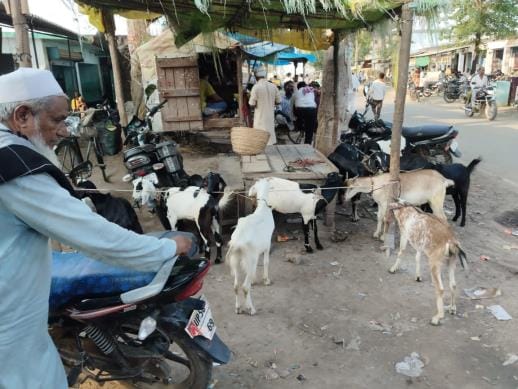 Eid-ul-Azha teaches us renunciation, sacrifice and love for God