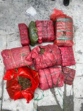 Chittorgarh News: More than 48 kg of ganja seized from a chemicals warehouse in Chanderia