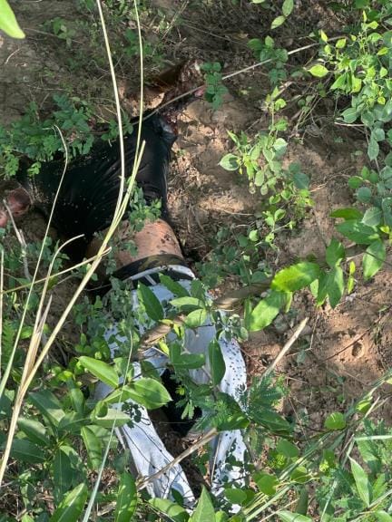 After the murder, the body was thrown in the forest, a rotten body was found