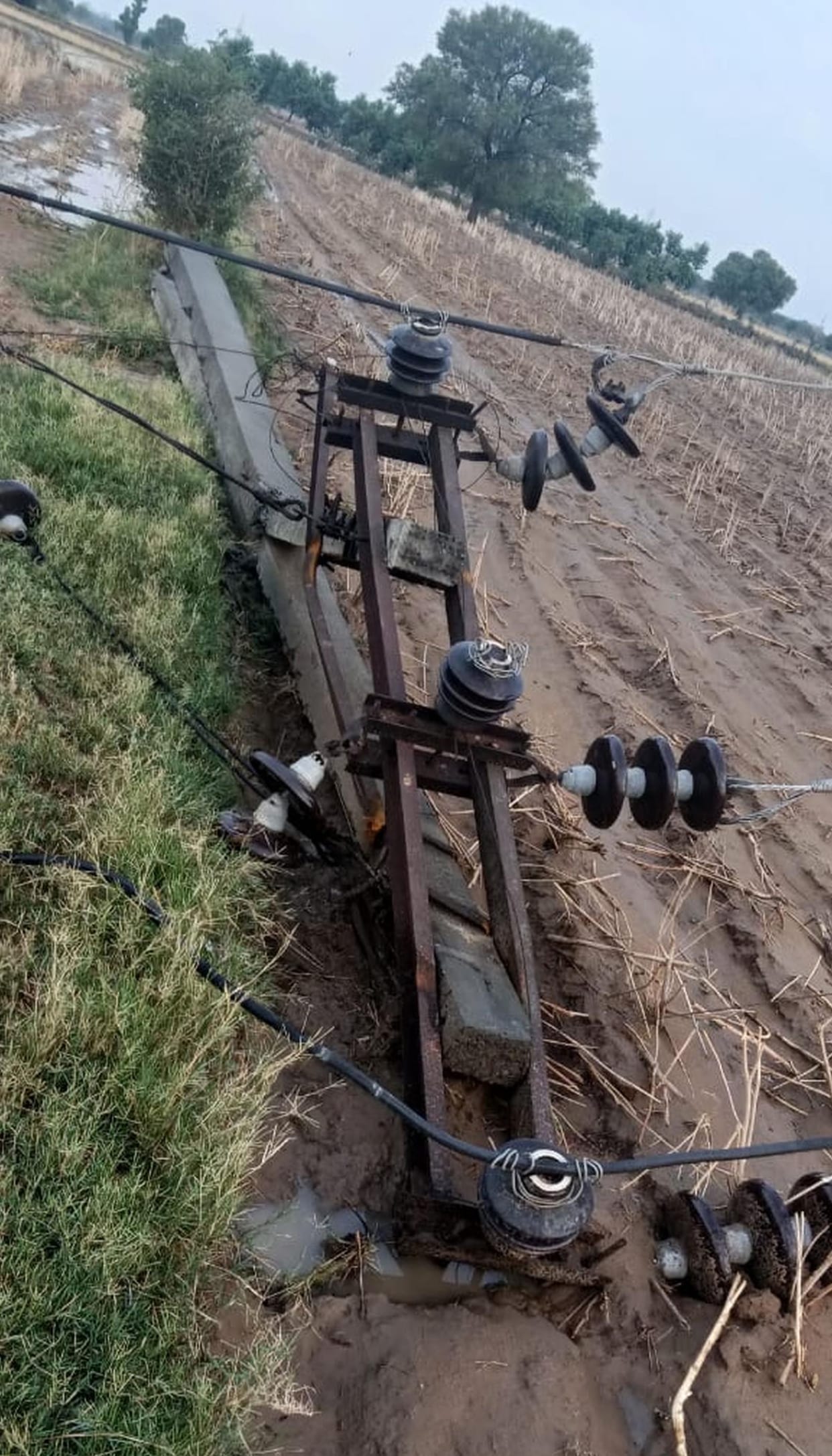 300 electricity poles, 11 transformers and 306 trees fell due to heavy rain and storm