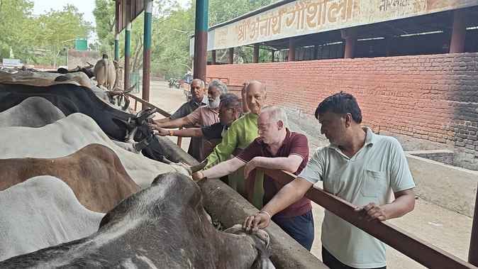 The Goseva Mandal organized a Savamani in Shri Orphan Cowshed