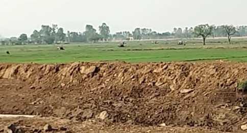 Attempt to occupy confiscated land, two arrested