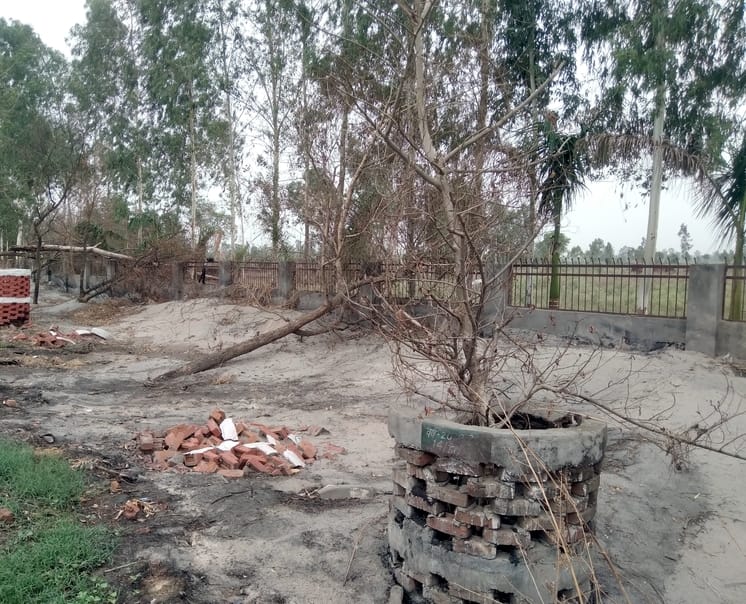 Coincidence or conspiracy...greenery destroyed by hot ashes of factory