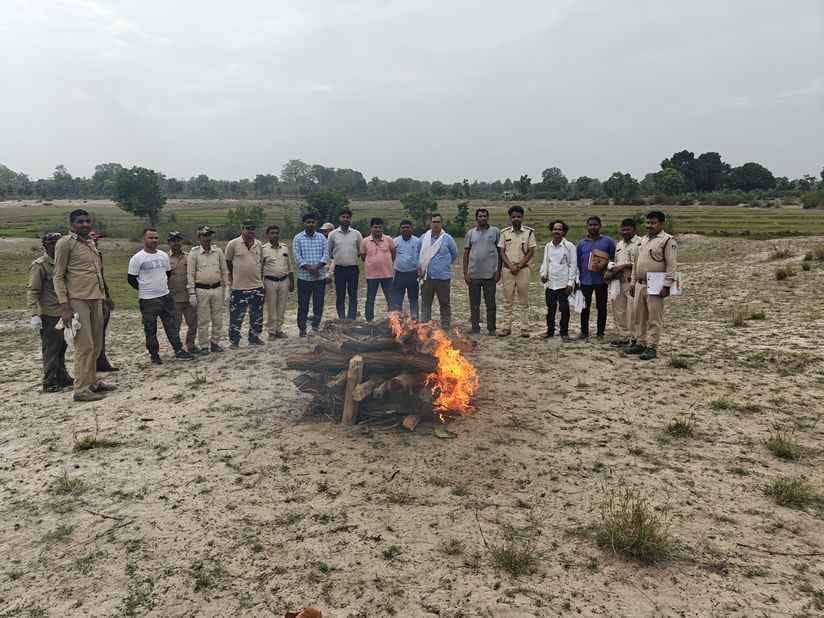 Leopard's skeleton found near Bandhavgarh Tiger Reserve