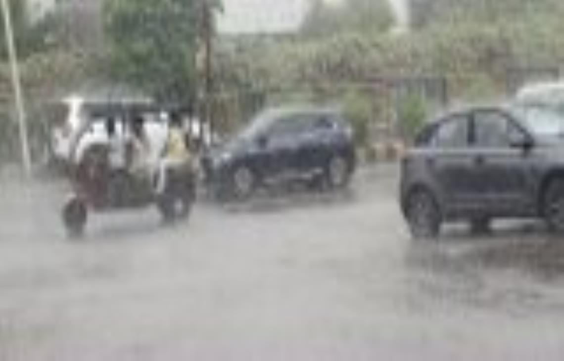 121 poles and 110 trees collapsed due to storm and rain