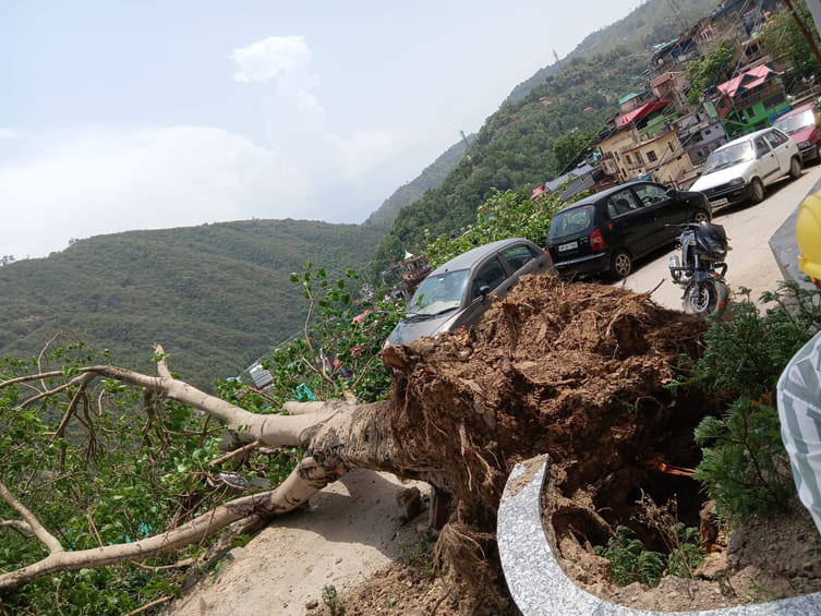 Tree fell on school building, students narrowly escaped