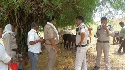 Attempt to smuggle cattle progeny failed, progeny were caught while taking them to slaughter house