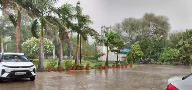 After the rain, people got relief from the heat, the weather became pleasant
