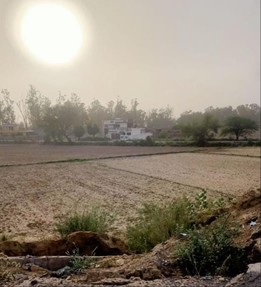 Farmers are getting fooled by the weather