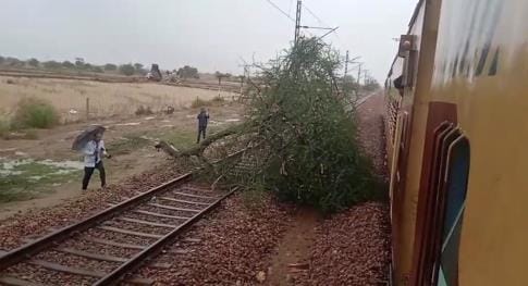 A tree fell on the railway track between Bhiwani-Manheru due to storm, trains affected