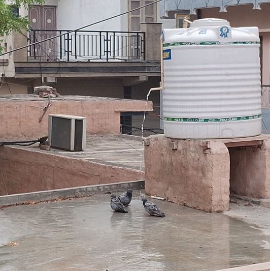 Cloudy in the morning, drizzle in the afternoon, mercury dropped