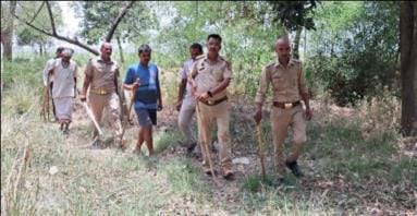 A cage was put up in Gaunriya, the villagers lost their sleep