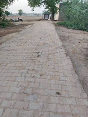 When a complaint was made to the CM, the way to the farm was opened in Parata