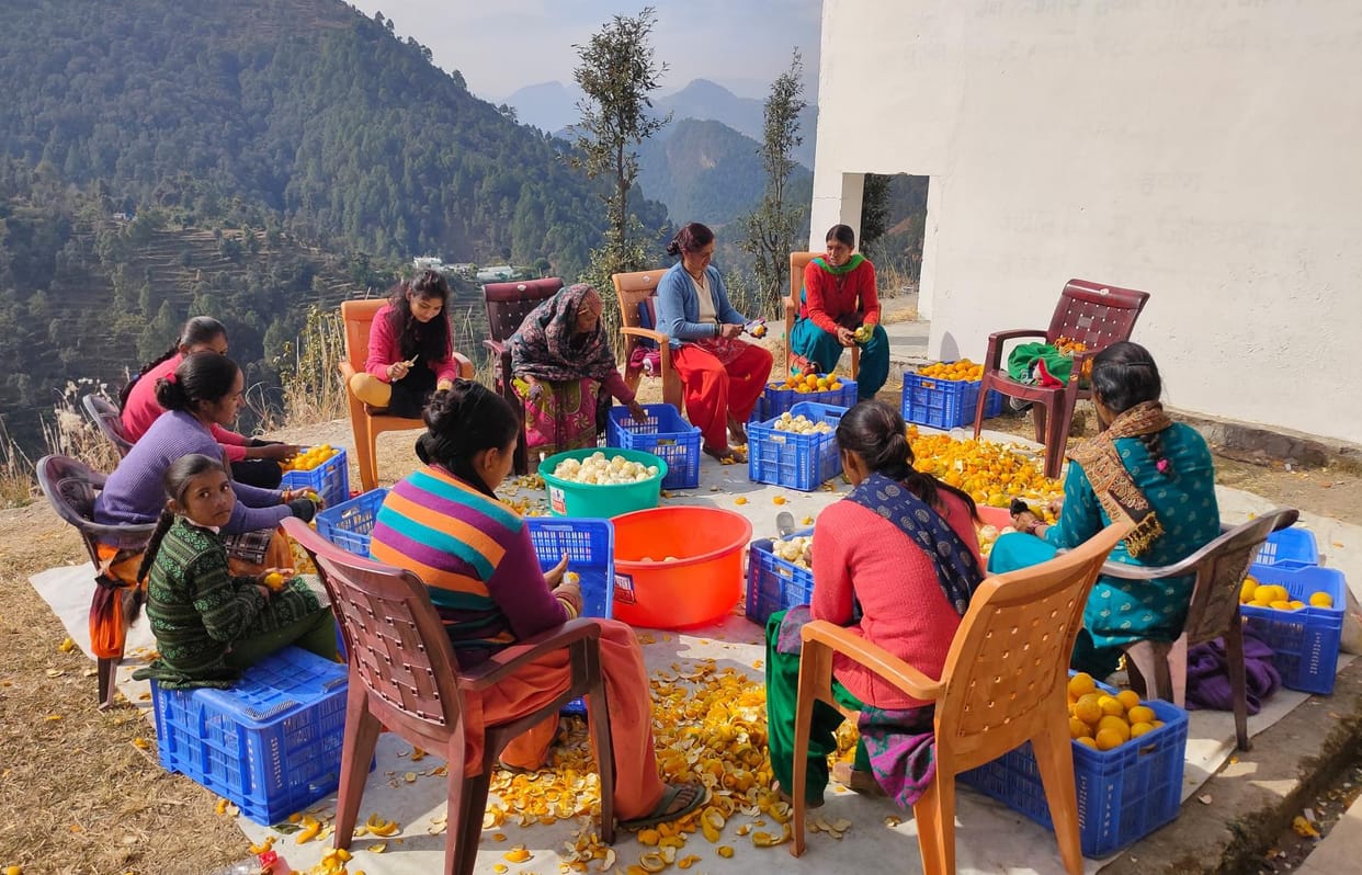 Making juice from fruits is nurturing the crop of employment