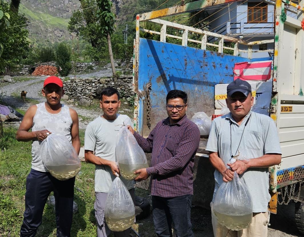 3.3 lakh carp fish seeds distributed to 94 fishermen