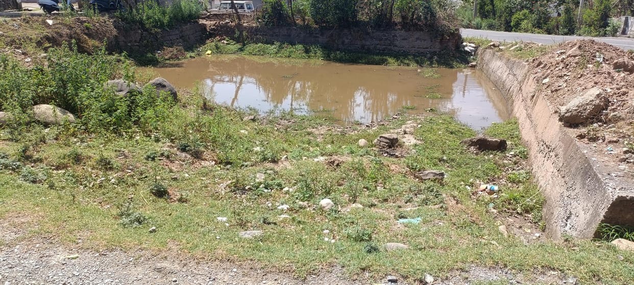 Pond in Poor Condition
