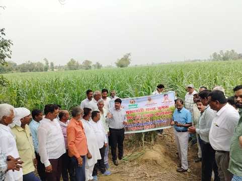 For good yield of sugarcane

Farmers should adopt scientific methods