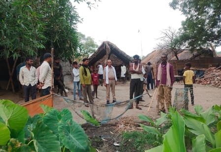 A tiger entered the house and killed a calf