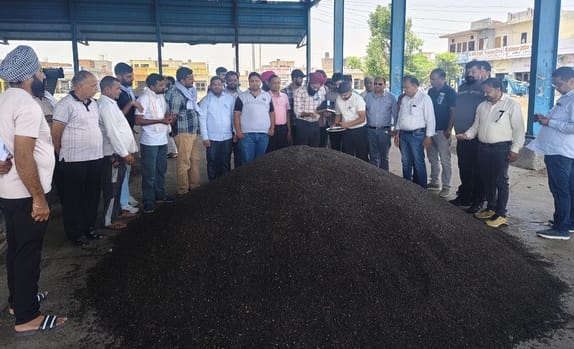 Purchase of sunflower started, relief to farmers