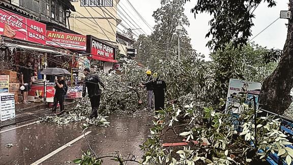 Due to strong wind and rain, a tree broke on Mall Road, traffic affected