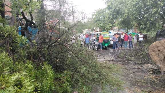 Rain accompanied by storm, many trees fell, road blocked