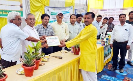 Farmers should start transplanting paddy after 15 to 20 June
