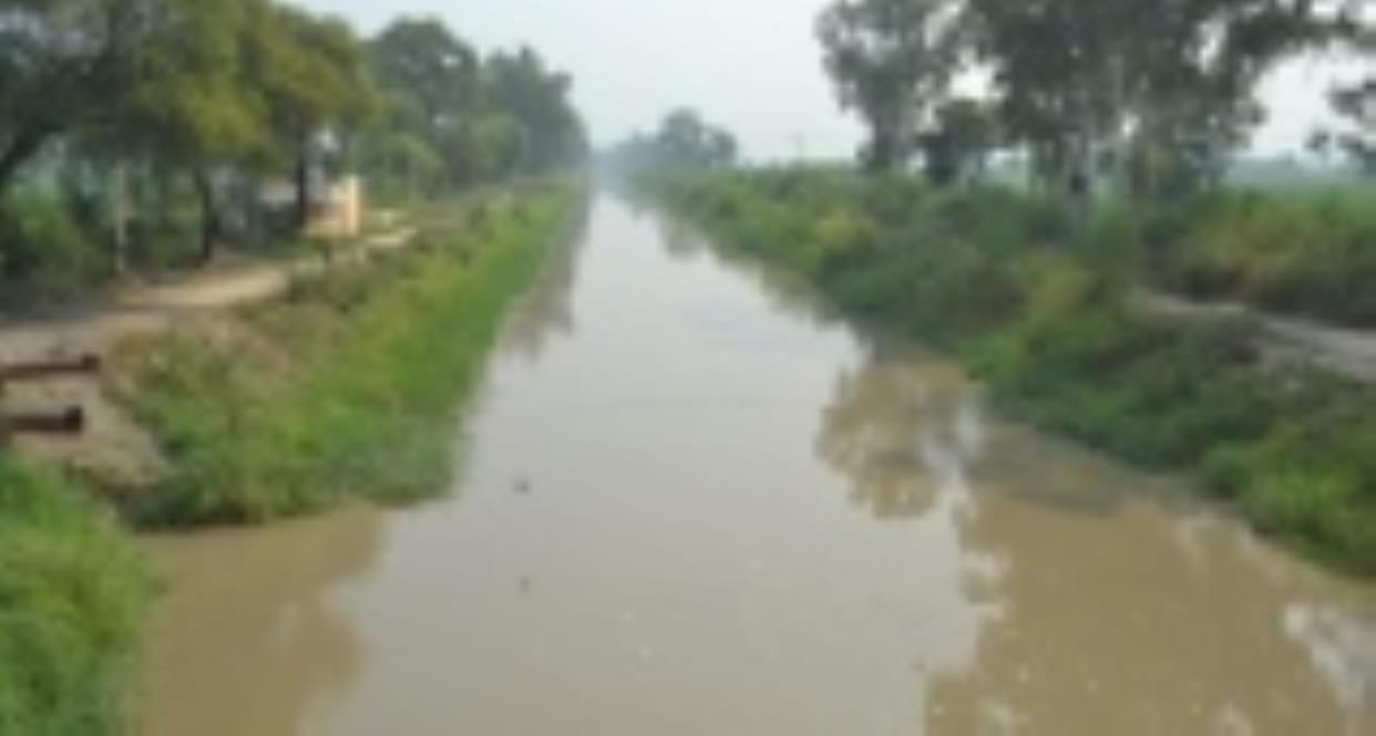 The Human Rights Commission has taken notice of the discharge of chemical-laden and contaminated water into canals and ponds.