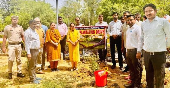Villagers worshiped trees older than 75 years
