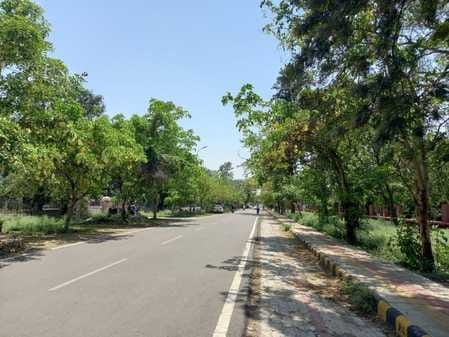 8500 trees in the cantonment area, temperature is three degrees lower than the city