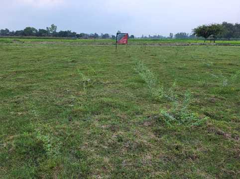 .85 hectare forest area increased in Badaun