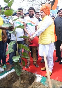 26.62 lakh saplings planted in seven years, about nine lakh dried up