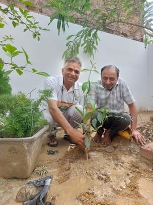 World Environment Day: Friends of greenery, health of restaurant air in slaves