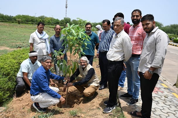 World Environment Day celebrated at Haryana Central University