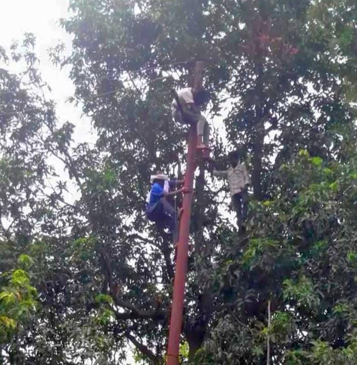 Lineman spotted on electricity pole, comrades lifted down