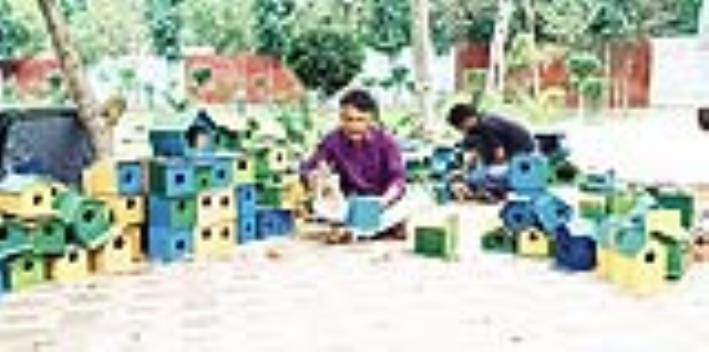 Environment Protection Day Special: Sanjay Ramphal is giving a new life to the environment by conserving birds and plants.